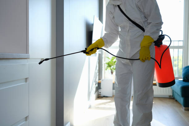 Best Emergency Mold Removal  in Dobbs Ferry, NY